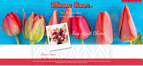 Firmenprofil von: Ihr Partner für Sträuße aller Art: Blumen Basar GbR