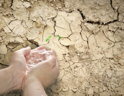 Firmenprofil von: Das Leben benötigt Wasser 